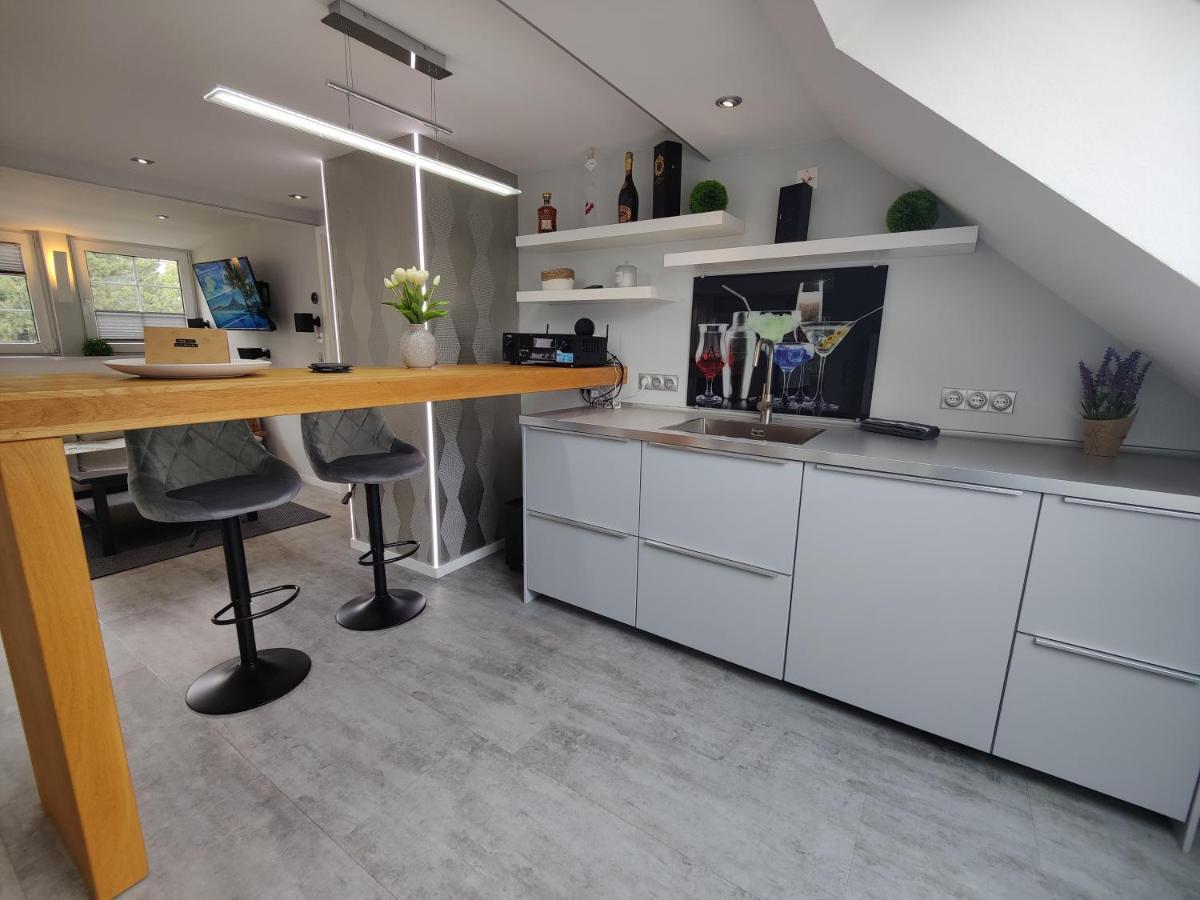 Ferienhaus Villa Adelsberg Mit Dachterrasse In Zentraler Lage Fuer Bis Zu 10 Personen Chemnitz Bagian luar foto