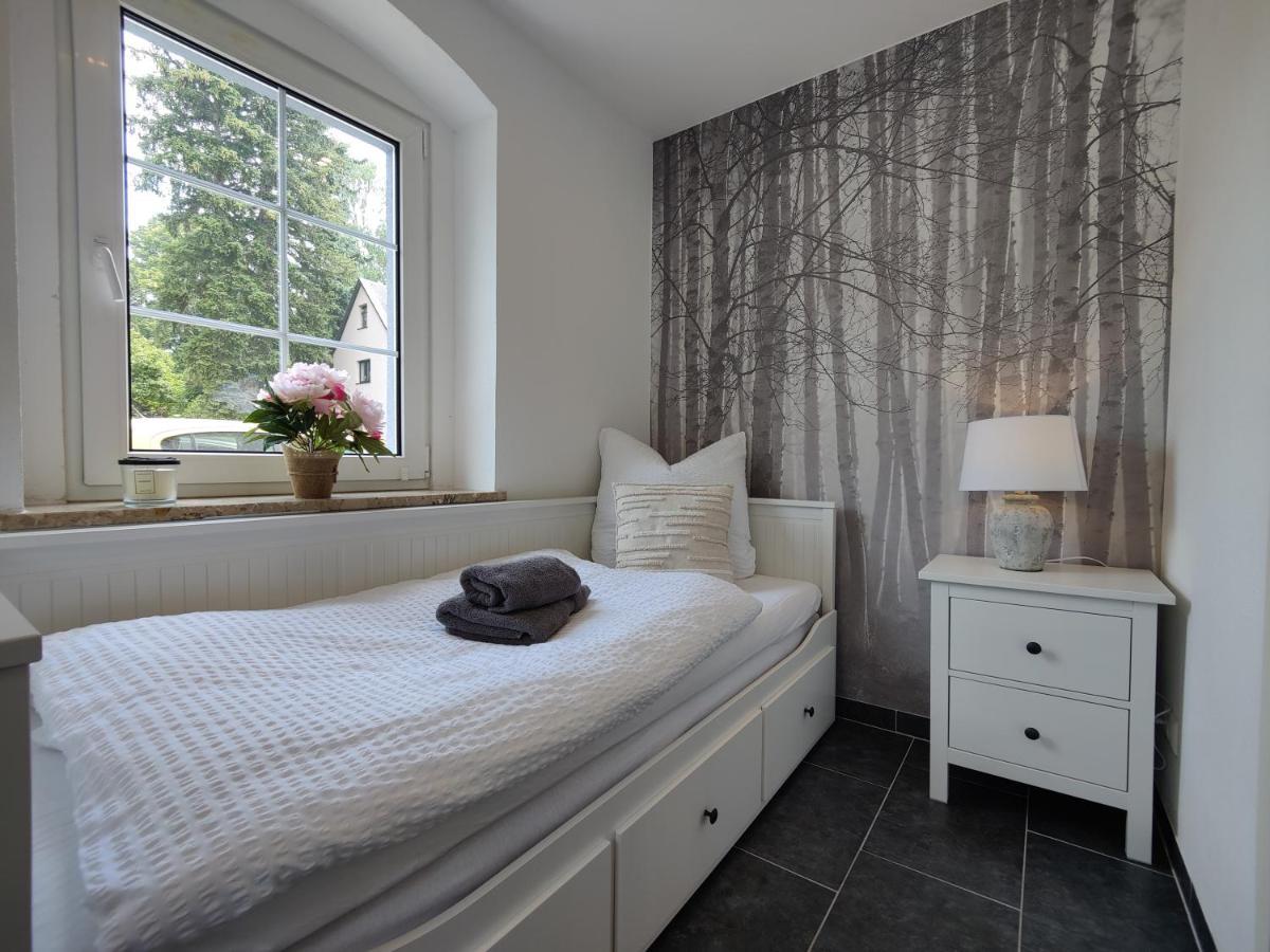 Ferienhaus Villa Adelsberg Mit Dachterrasse In Zentraler Lage Fuer Bis Zu 10 Personen Chemnitz Bagian luar foto