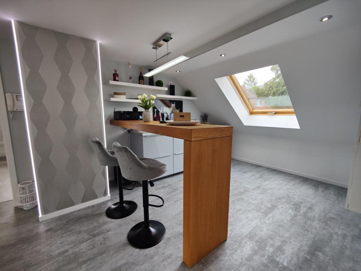Ferienhaus Villa Adelsberg Mit Dachterrasse In Zentraler Lage Fuer Bis Zu 10 Personen Chemnitz Bagian luar foto