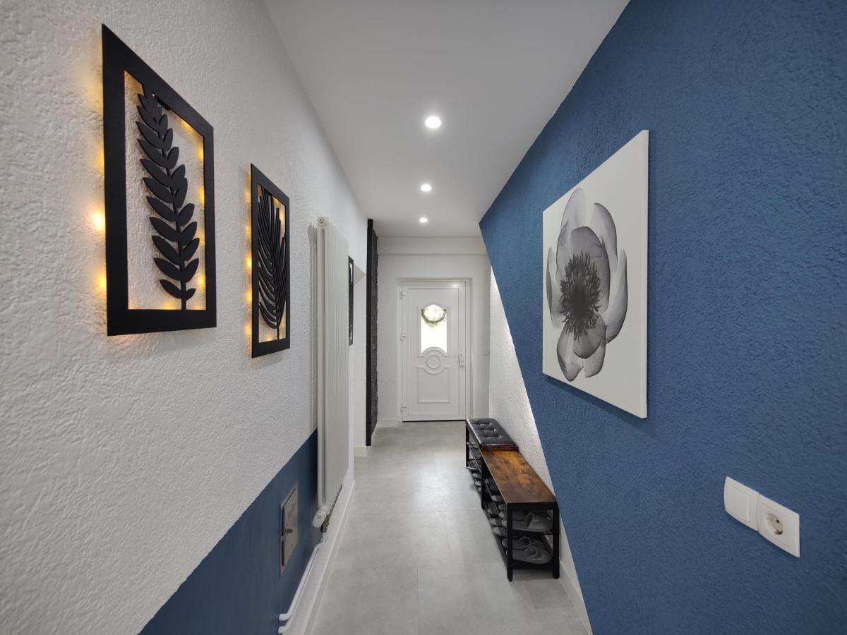 Ferienhaus Villa Adelsberg Mit Dachterrasse In Zentraler Lage Fuer Bis Zu 10 Personen Chemnitz Bagian luar foto